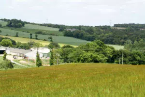 Pour les biens immobiliers agricoles, il existe une SCI spécifique : le Groupement foncier agricole (GFA).