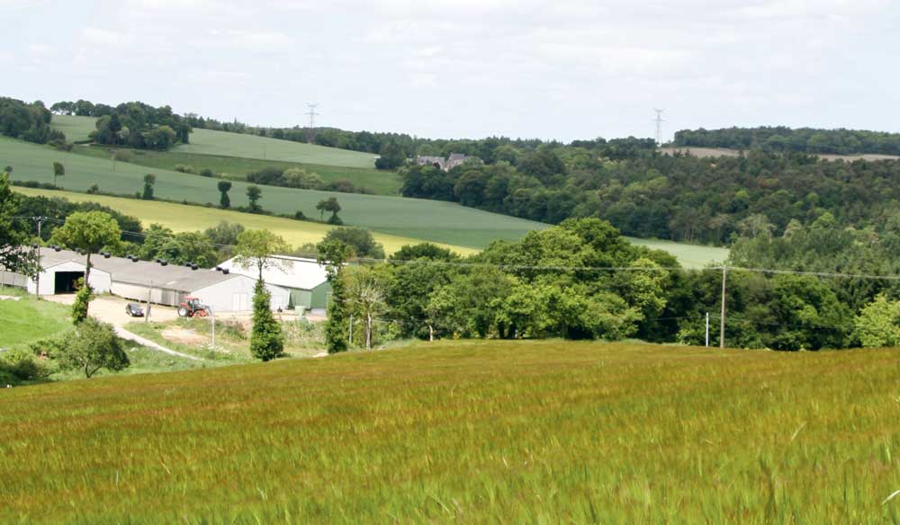 Pour les biens immobiliers agricoles, il existe une SCI spécifique : le Groupement foncier agricole (GFA). - Illustration Gérer et transmettre son immobilier avec la SCI