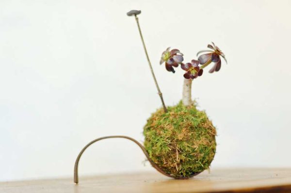 Le kokedama utilise des boules de mousse sur lesquelles sont ancrées des plantes.