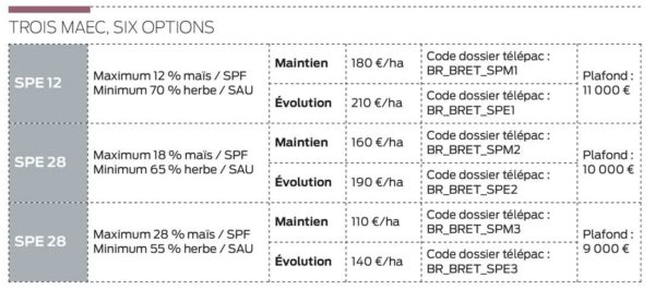 maec-code-options