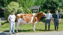 David et Éric Morin espèrent ramener un prix de Colmar avec Idole, ici en compagnie de Mickael Leroy, stagiaire.