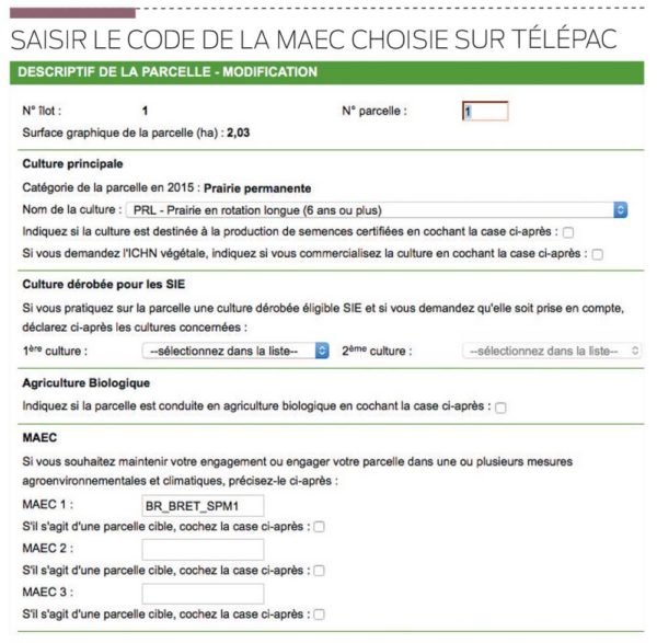 saisie-code-maec