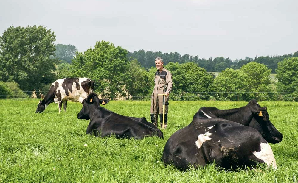 Emmanuel Nourry avoue gérer beaucoup mieux ses prairies qui sont désormais plus productives. Au final, en 2015, son troupeau de 40 vaches laitières n’a consommé que 3 t d’aliment. - Illustration L’objectif est désormais de pâturer au maximum