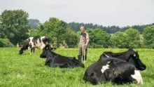 Emmanuel Nourry avoue gérer beaucoup mieux ses prairies qui sont désormais plus productives. Au final, en 2015, son troupeau de 40 vaches laitières n’a consommé que 3 t d’aliment.