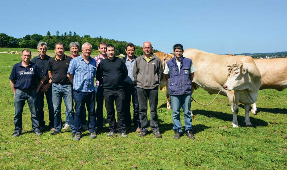 viande-bovine-blonde-aquitaine - Illustration Blonde : la qualité de la viande passe par le local