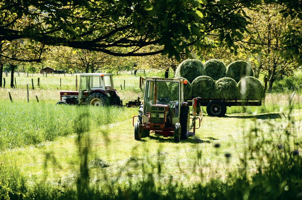 vieu-tracteur-retraite - Illustration Emploi et retraite peuvent se cumuler