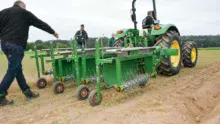 La Weeding Machine travaille exclusivement sur le rang.