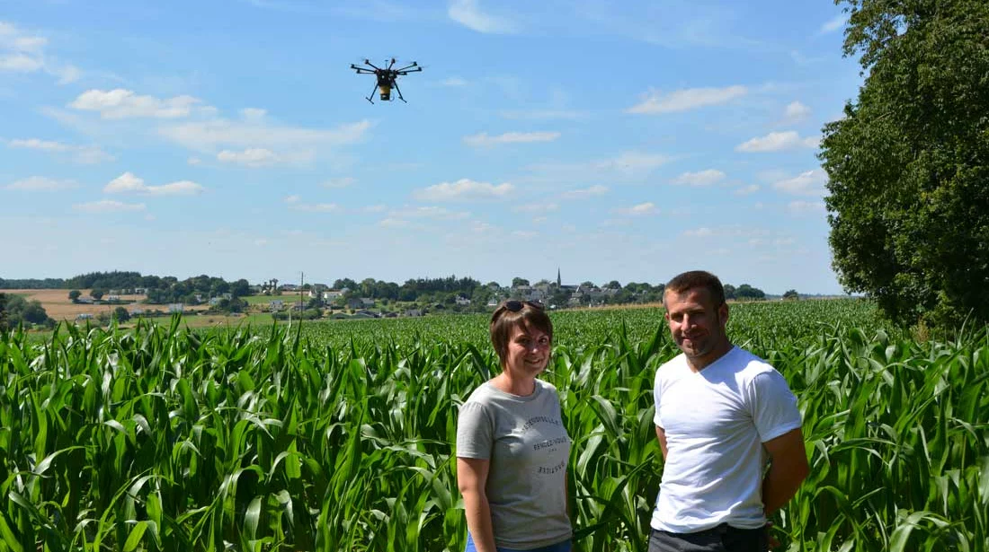  - Illustration Pyrale du maïs : des trichogrammes largués par drones