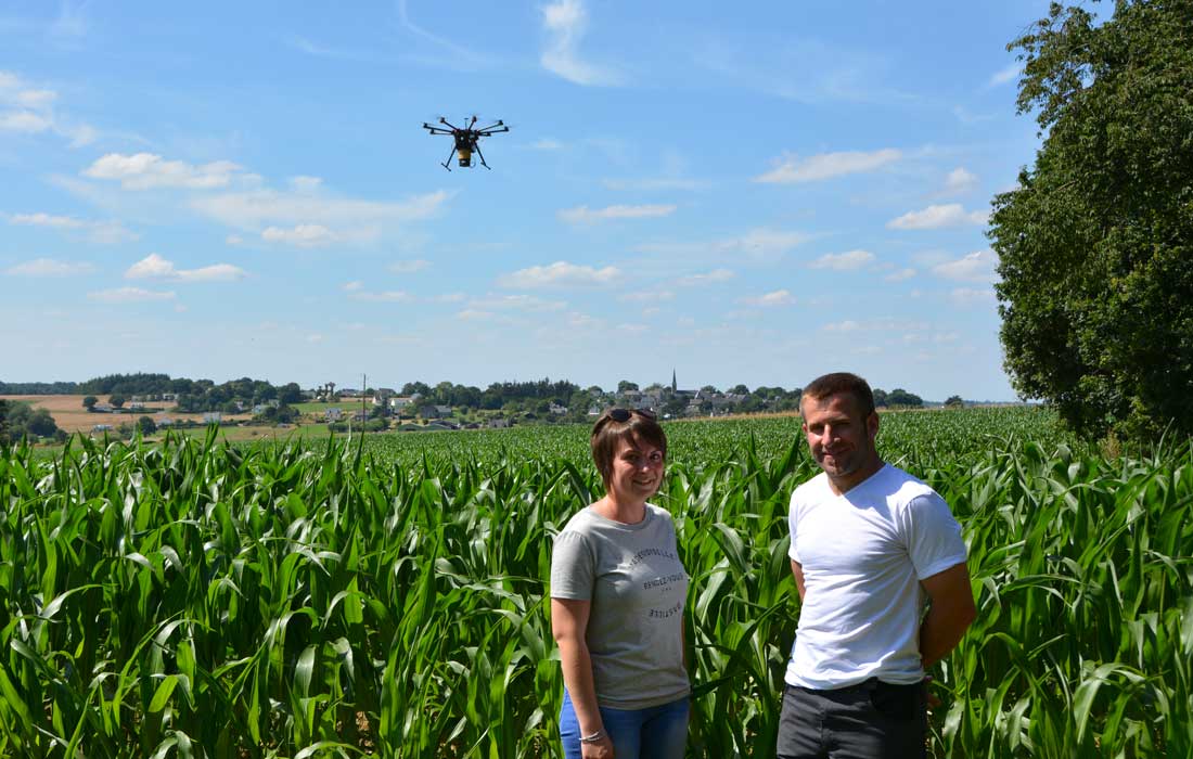  - Illustration Pyrale du maïs : des trichogrammes largués par drones