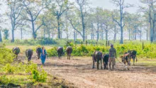 agriculture-inde