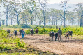 agriculture-inde