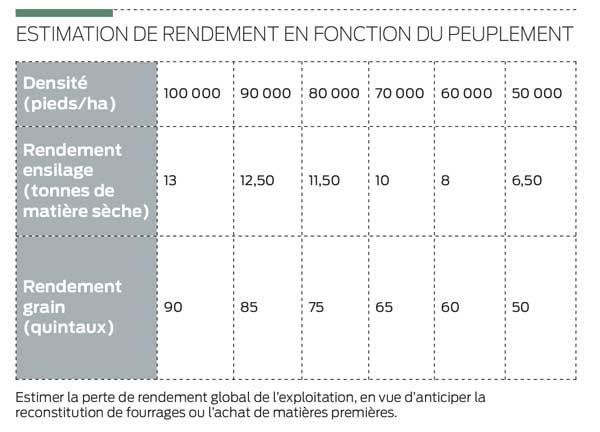 estimation-rendement-mais