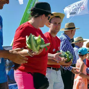 Tout le monde a pris part au chargement des légumes.