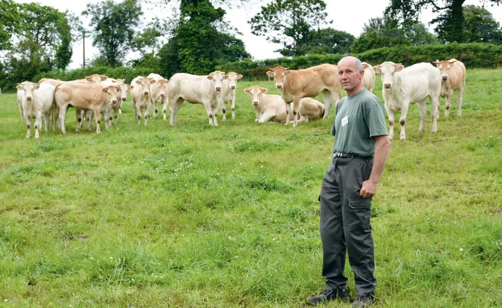 L’élevage de Frédéric Trellu a totalisé 257 bovins en moyenne sur 2015. - Illustration 57 tonnes de viande vive à 1 UTH