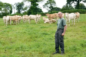 L’élevage de Frédéric Trellu a totalisé 257 bovins en moyenne sur 2015.