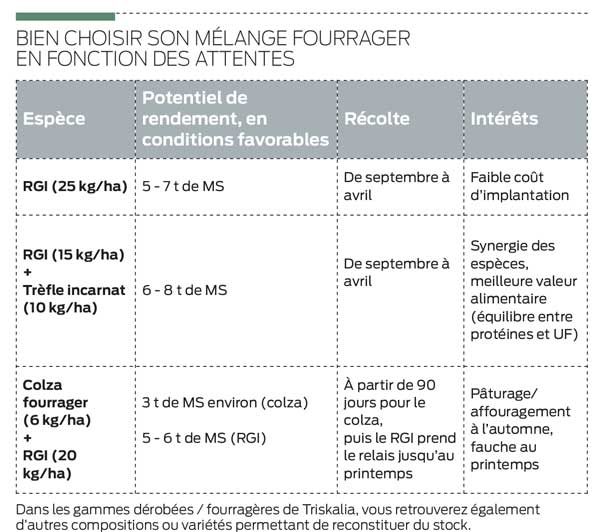 melange-fourrage