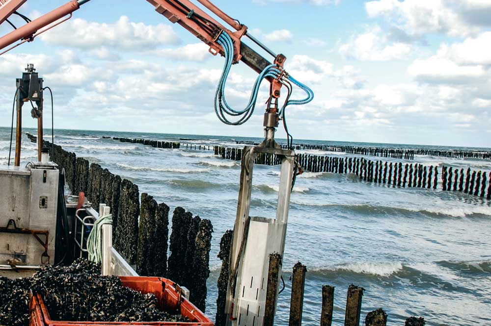  - Illustration Les professionnels lancent l’alerte sur la pollution de l’eau