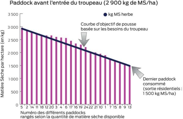 paddock-entree-troupeau