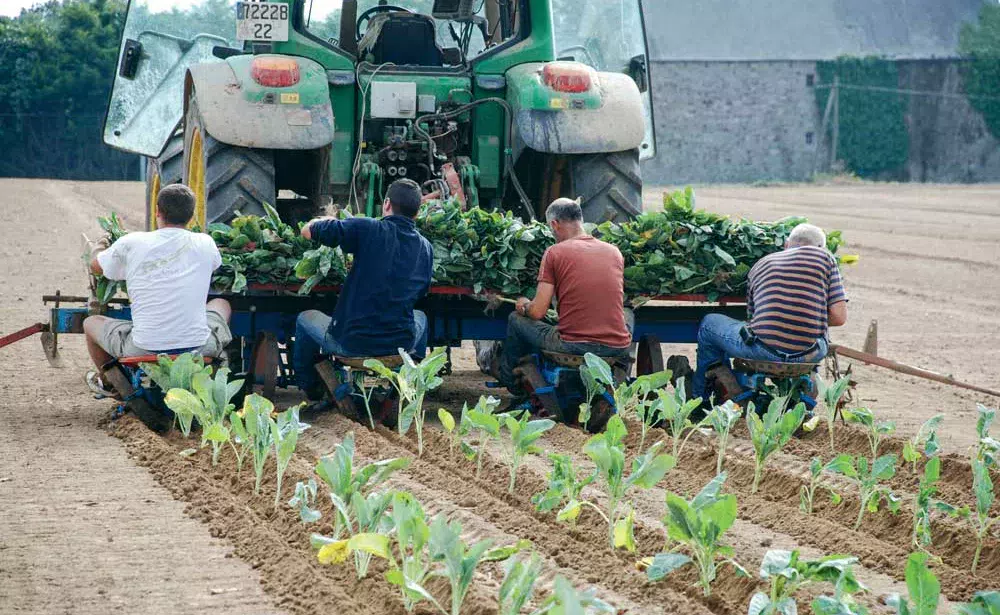 penibilite - Illustration Le ministère de l’Agriculture publie une “calculette” de la pénibilité