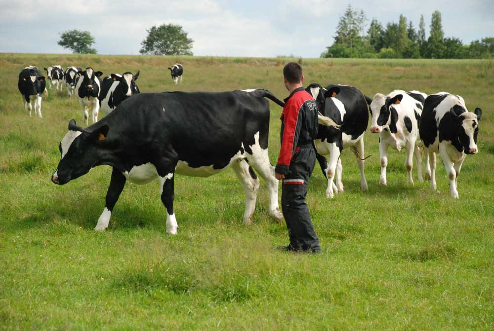  - Illustration La Bretagne agricole se rêve un autre avenir