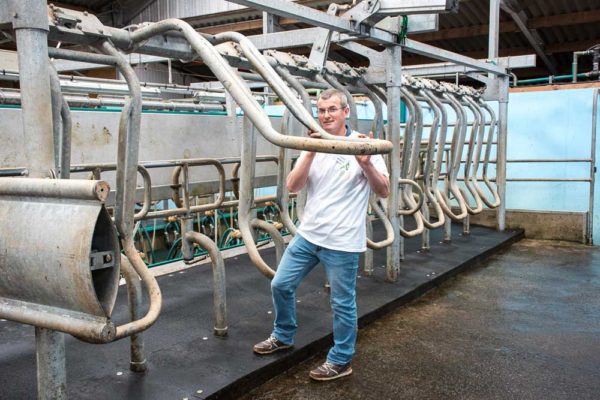 Pratique pour trier une vache, la lice de la nouvelle salle de traite permet de ne faire sortir qu’un seul animal si besoin. 