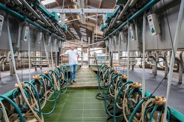 « On passe beaucoup de temps en salle de traite. Cela doit être un endroit agréable. » En fait, à tous les étages, Pierre Bernard a misé sur un bâtiment simple et fonctionnel pour « gagner du temps, être efficace, abattre un certain volume de travail et être remplacé facilement. » Au printemps, l’astreinte journalière est de 3 heures. 5 heures en hiver. 