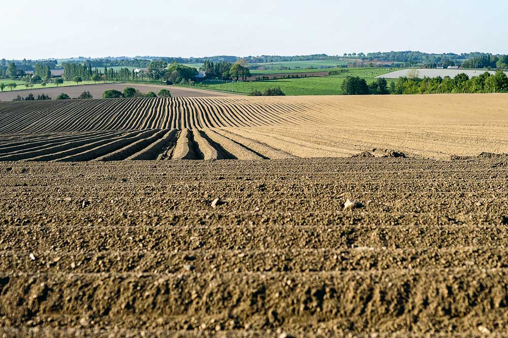 td_tf_schema_regional-Q - Illustration Foncier agricole et contrôle régional des structures