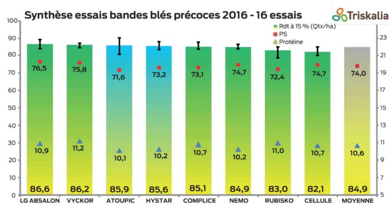 En blés précoces, LG Absalon, nouveauté 2016, finit 1er du classement en rendement et en PS. Cette variété est particulièrement tolérante aux maladies, avec de très bonnes notes en septoriose et rouilles. Un bon compromis, entre productivité et qualité. Vyckor, pour sa 2e année dans les essais, réalise à nouveau des beaux résultats (rendement, PS et protéines). Il confirme sa bonne place de l’année passée notamment grâce à sa rusticité. Il s’agit de la variété la plus régulière dans les essais. Les hybrides sont en retrait par rapport à 2015. Complice, nouveauté 2016, et Nemo se placent en milieu de tableau, peu d’écart les séparent des meilleures variétés. Cellule ferme le classement, sans doute pénalisé par sa précocité au moment du remplissage en juin.