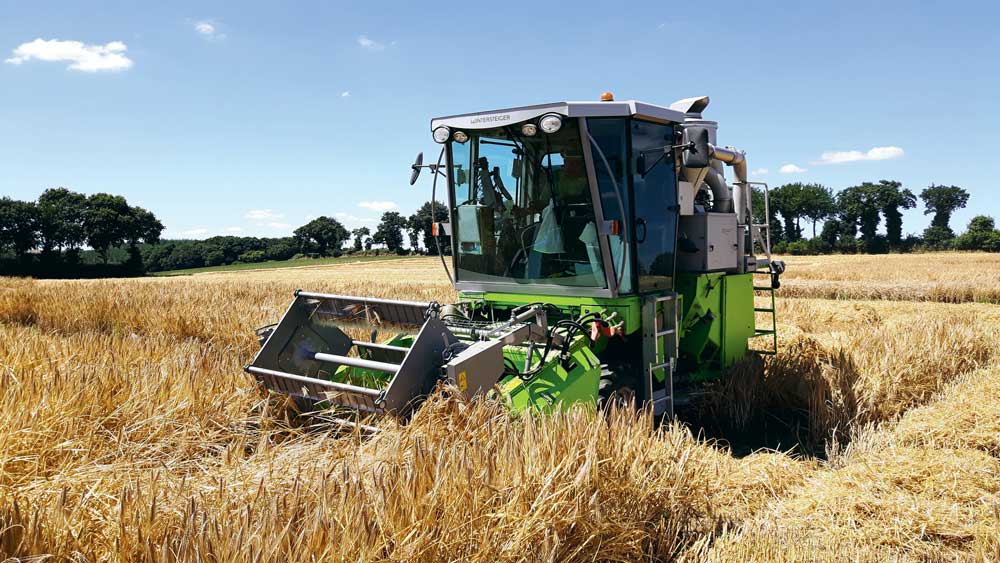 Photo of Orge, colza : entre déception et satisfaction