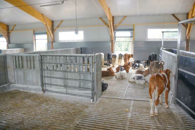 Distributeur automatique de lait et souplesse de travail Journal Paysan Breton