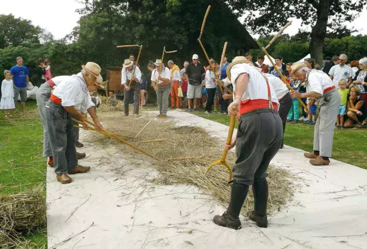 Démonstration de battage au fléau par les Battous du Cotentin.