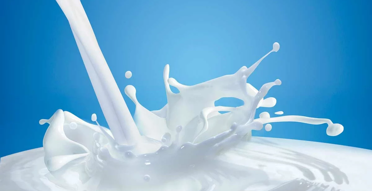 lait-eclabousse - Illustration Danemark : plus de vaches, moins de lait ?