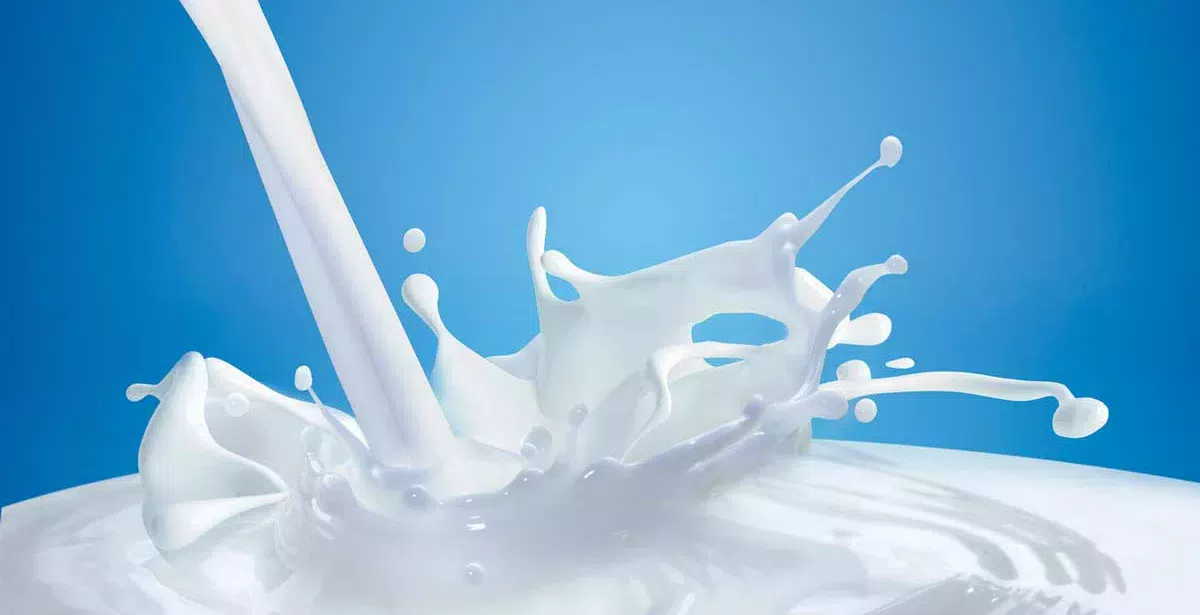 lait-eclabousse - Illustration Les Restos du Cœur appellent au don de lait avant le 15 février