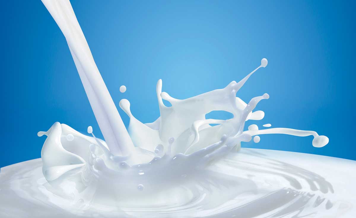Photo of Le prix du lait entre Lactalis et Sodiaal s’affiche sur les réseaux sociaux