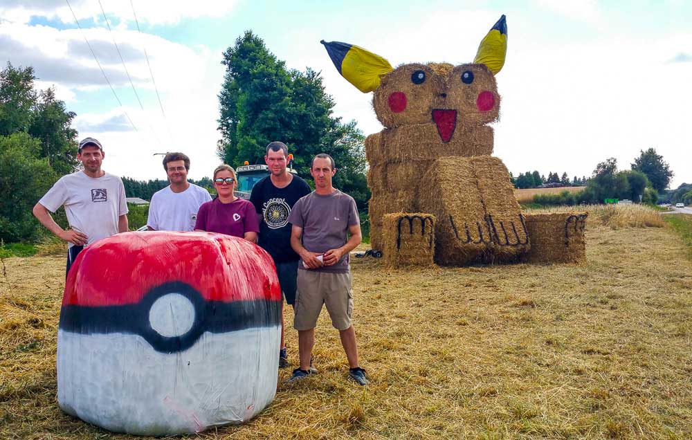 pokemon_pikachu-paille - Illustration Pokémon : un Pikachu de paille au Pays de Loudéac
