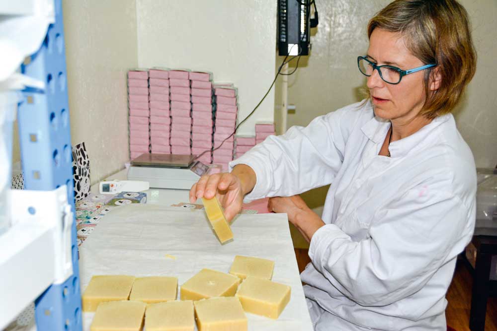  - Illustration Les multiples facettes du lait