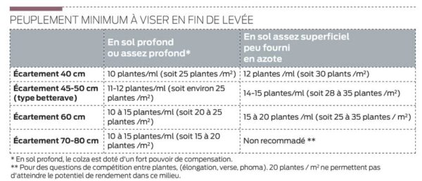 semis-colza-fin-levee