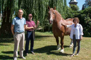 td_lamballe_cheval-2