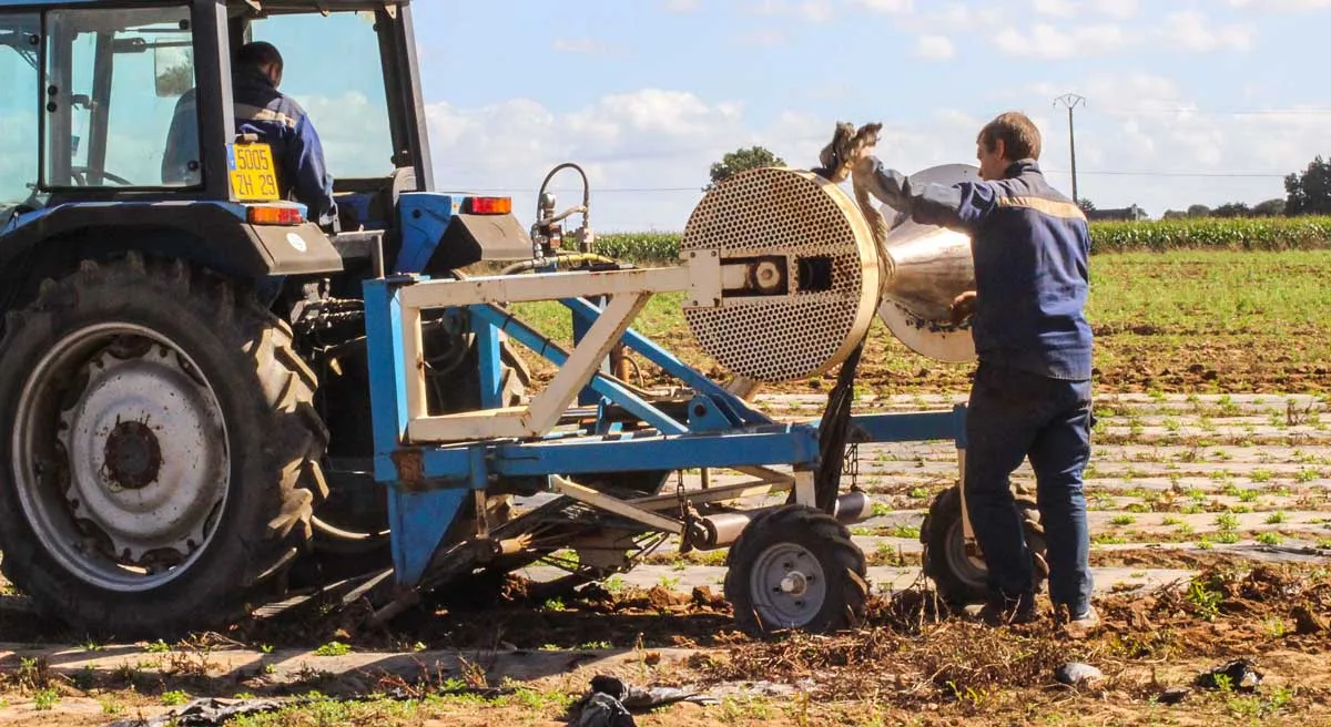 aei-demo-echalote-1 - Illustration Échalote : les légumiers collectent proprement leurs paillages