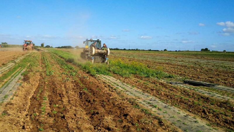 Les machines ont été soumises à deux conditions : bonnes (au premier plan) ou difficiles (au second plan).