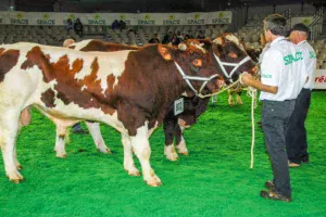 Rouge-des-pres-Space-concours-viande