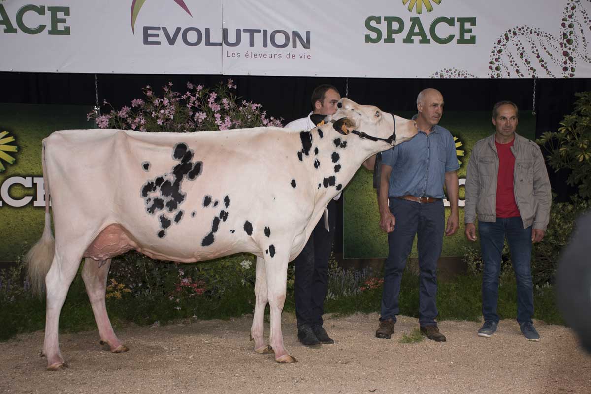 CapJ Irina au Gaec Cabon, championne jeune. - Illustration SPACE 2016 : Prim’Holstein, la Bretagne marche sur la catégorie Jeune