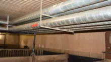 Les tubes installés dans les salles d'engraissement.