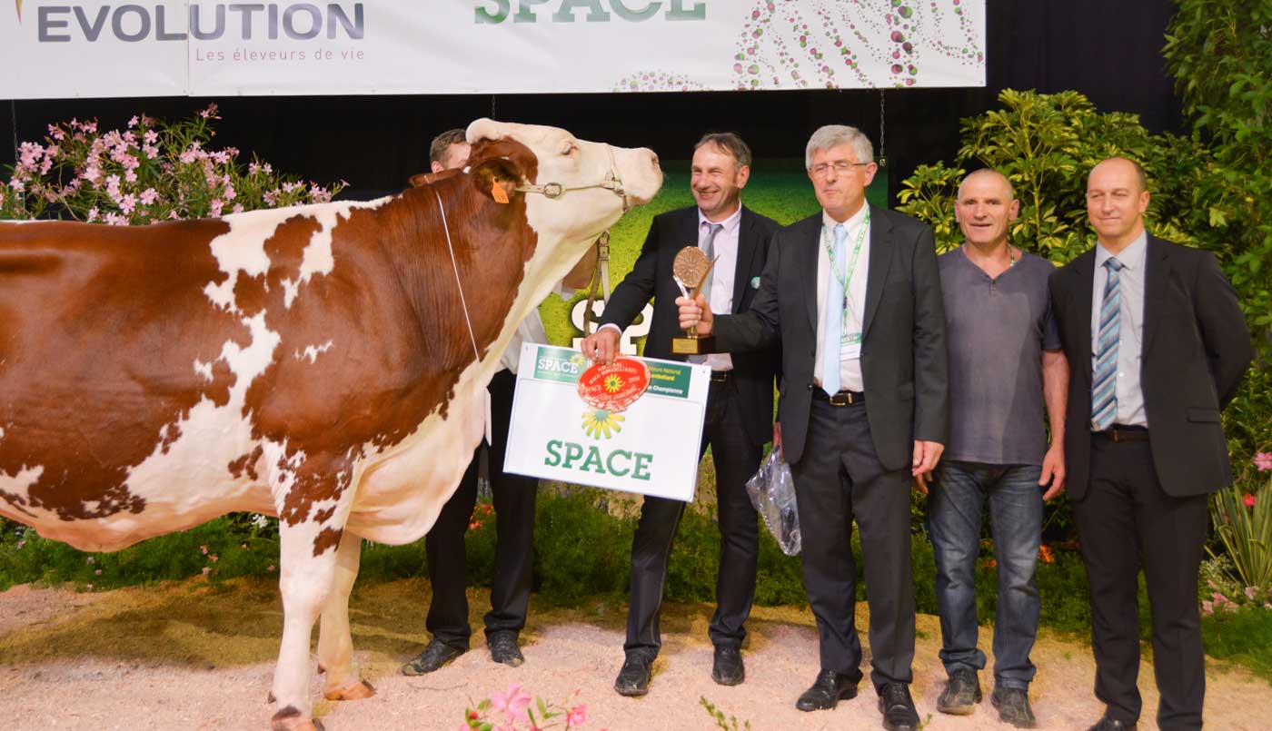 beaute-montbeliarde - Illustration SPACE 2016 : Beauté sublime le concours montbéliarde
