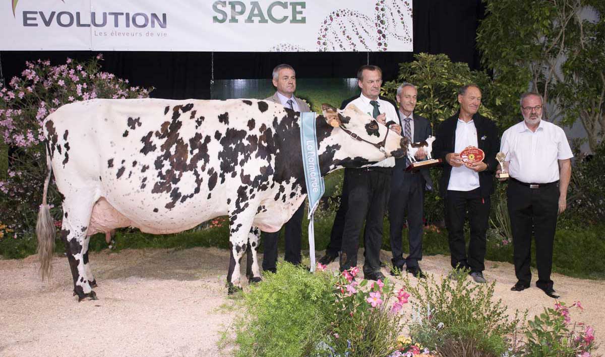 blanchette-normande - Illustration SPACE 2016 : Blanchette fait monter la sauce mayennaise au concours Normande