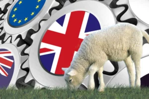 La filière ovine française craint les conséquences des négociations à venir avec la sortie de l’Europe du Royaume-Uni et celles en cours inhérentes au libre-échange avec l’Europe et l’Océanie.