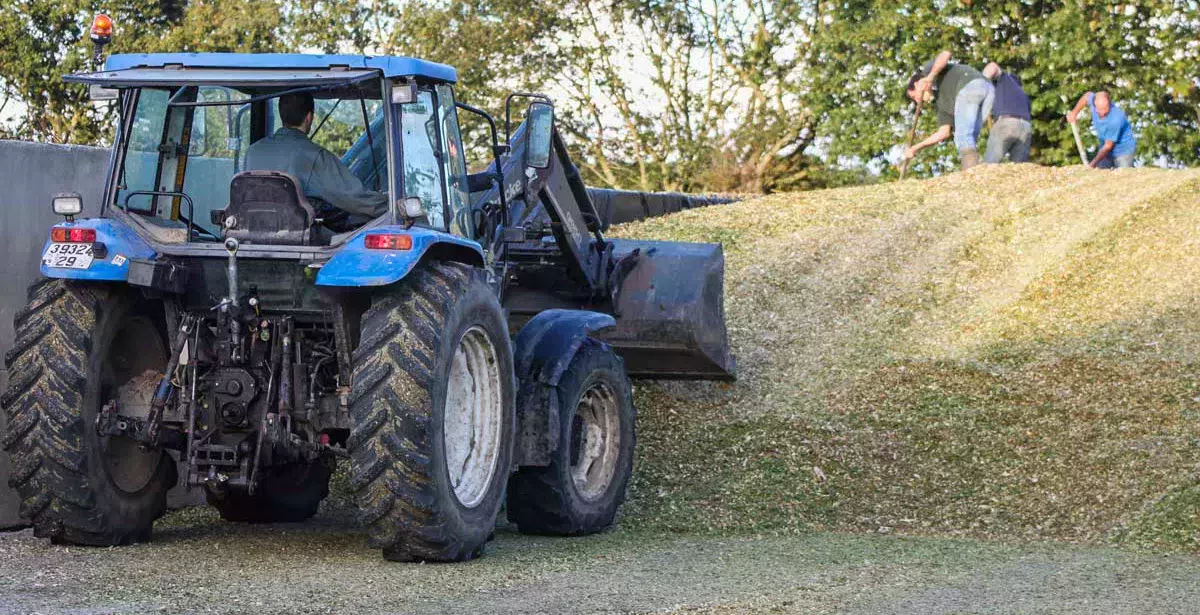 chantier-mais - Illustration 1 année de stock de maïs ensilage en 1 journée