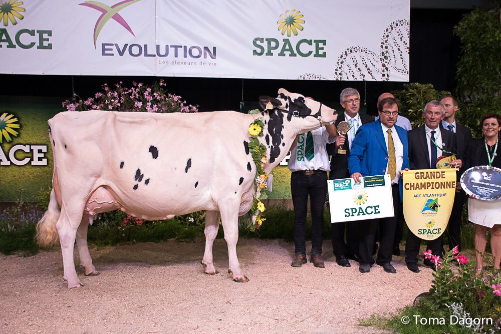Photo of SPACE 2016 : Chouette du Morbihan, Grande championne Prim’Holstein