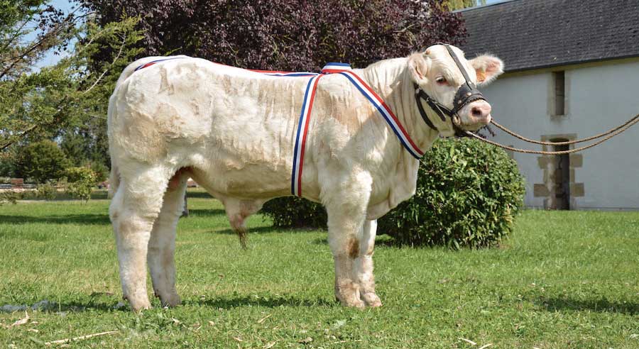 concoursnationalveaux