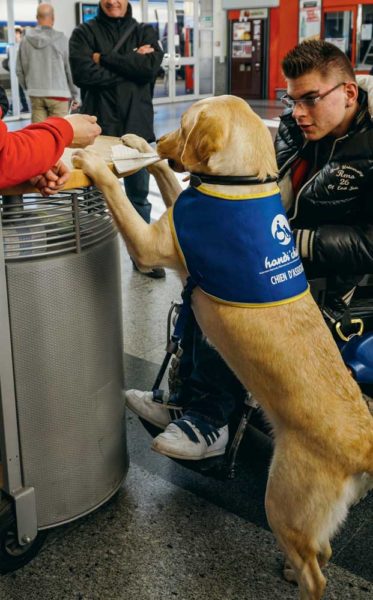 À la gare, Goon (bien identifiable grâce à sa cape d’handi’chiens) fait un « up » au comptoir pour que son référent Victor récupère ses billets.